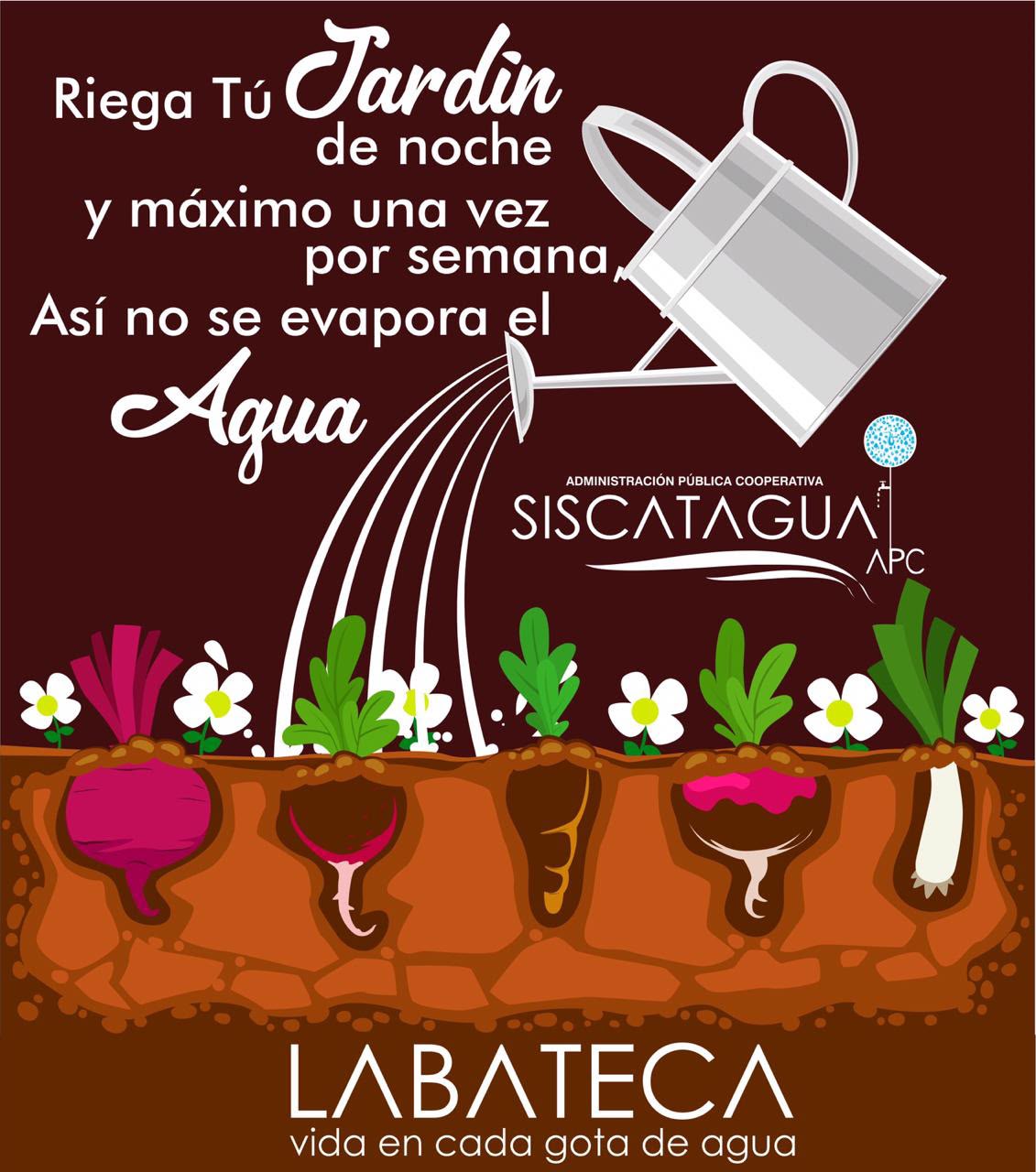 Campaña Riego Nocturno de Jardín